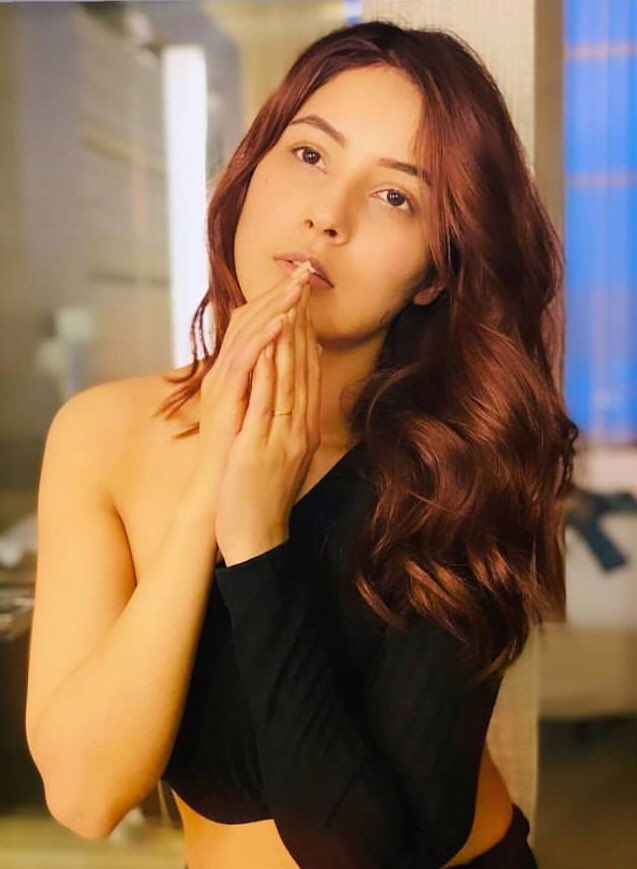 shazia0772's tweet photo. @ishehnaaz_gill #ShehnaazGill new Instagram story post new pic new update beautiful angel 😇😘😍👌 #HonslaRakh #FlyTeaserOut #Fly #ShehnaazHungamaWithFaridoon #SidNaaz #SidNaazians #sidnaazlovers https://t.co/28qFrNkseL