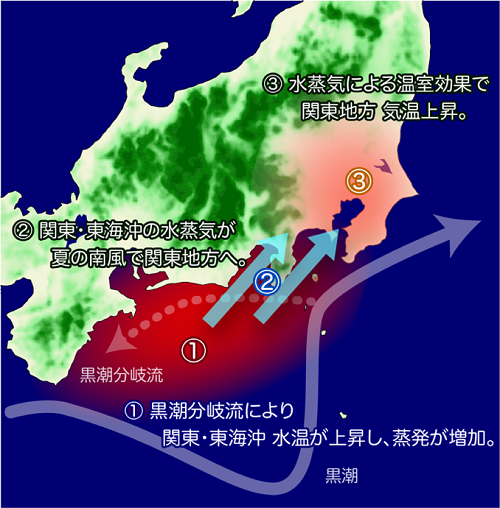 東北大学 黒潮大蛇行が関東地方の夏をより蒸し暑く 詳しくはコチラを T Co Tkly6ra2pa 温室効果 水蒸気 関東地方 貢献 熱中症 リスク 低減 東北大学 大学 研究成果