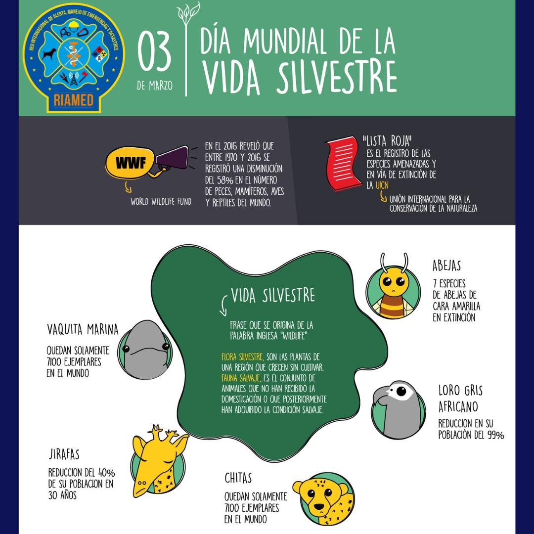 03 de Marzo, Día Mundial de la Vida Silvestre

riamedinternacional.wixsite.com/riamed

#diamundialdelavidasilvestre #gestiondelriesgo #yoapoyoalariamed #soyriamed #riamedcursos #riamedemergencias