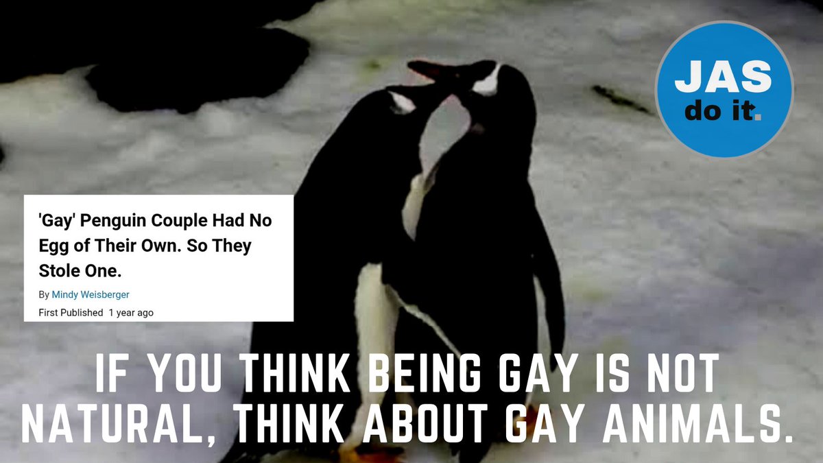 JASdoit6's tweet photo. #gay
#penguin
#JASdoit https://t.co/n5GyXbZ2wJ