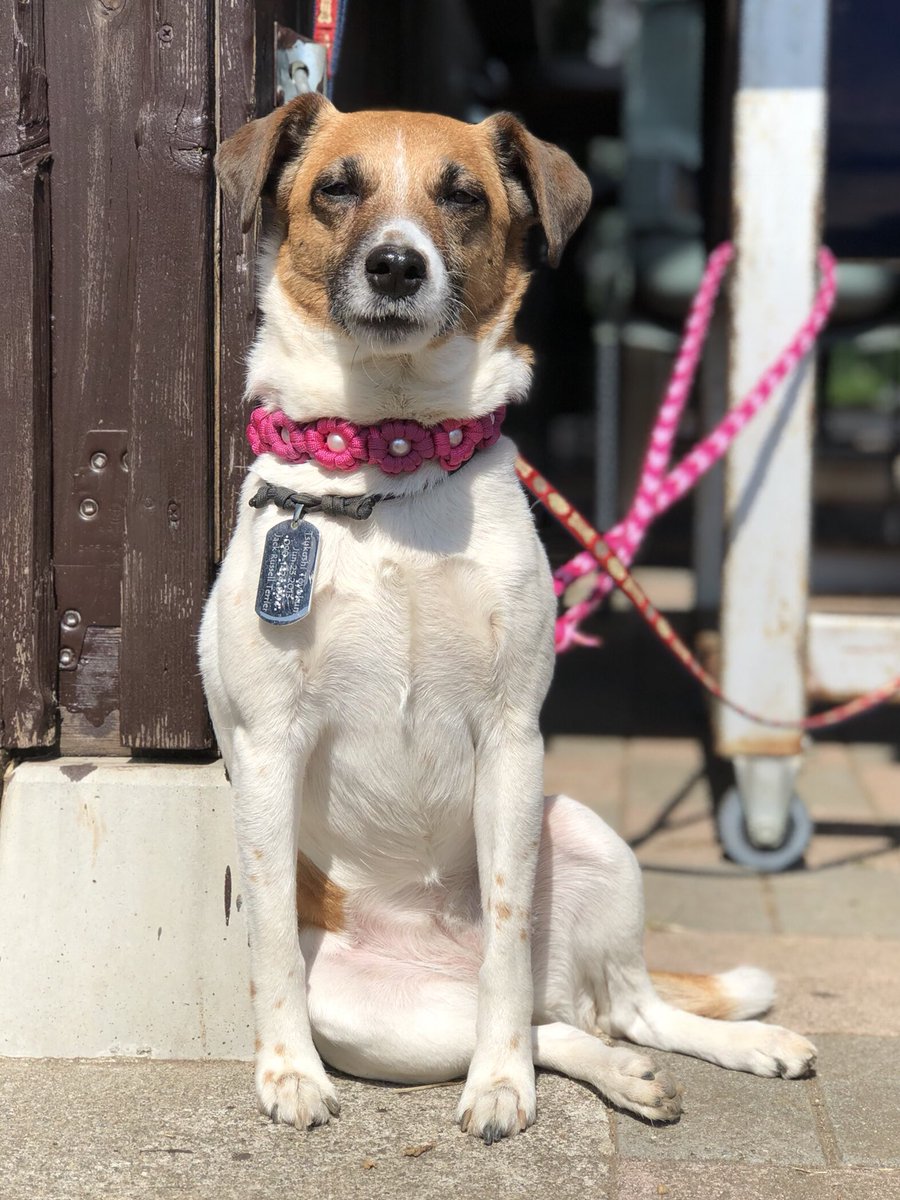 E8 8a A6 E9 9b E7 8a Ac Twitter Search