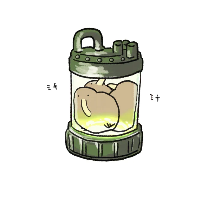 培養されがちなキーウィ 