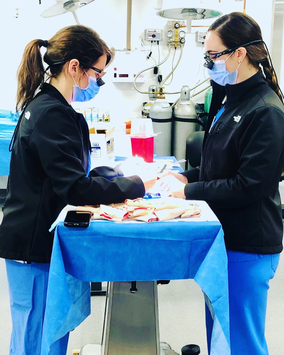 GW Surgery tweet media