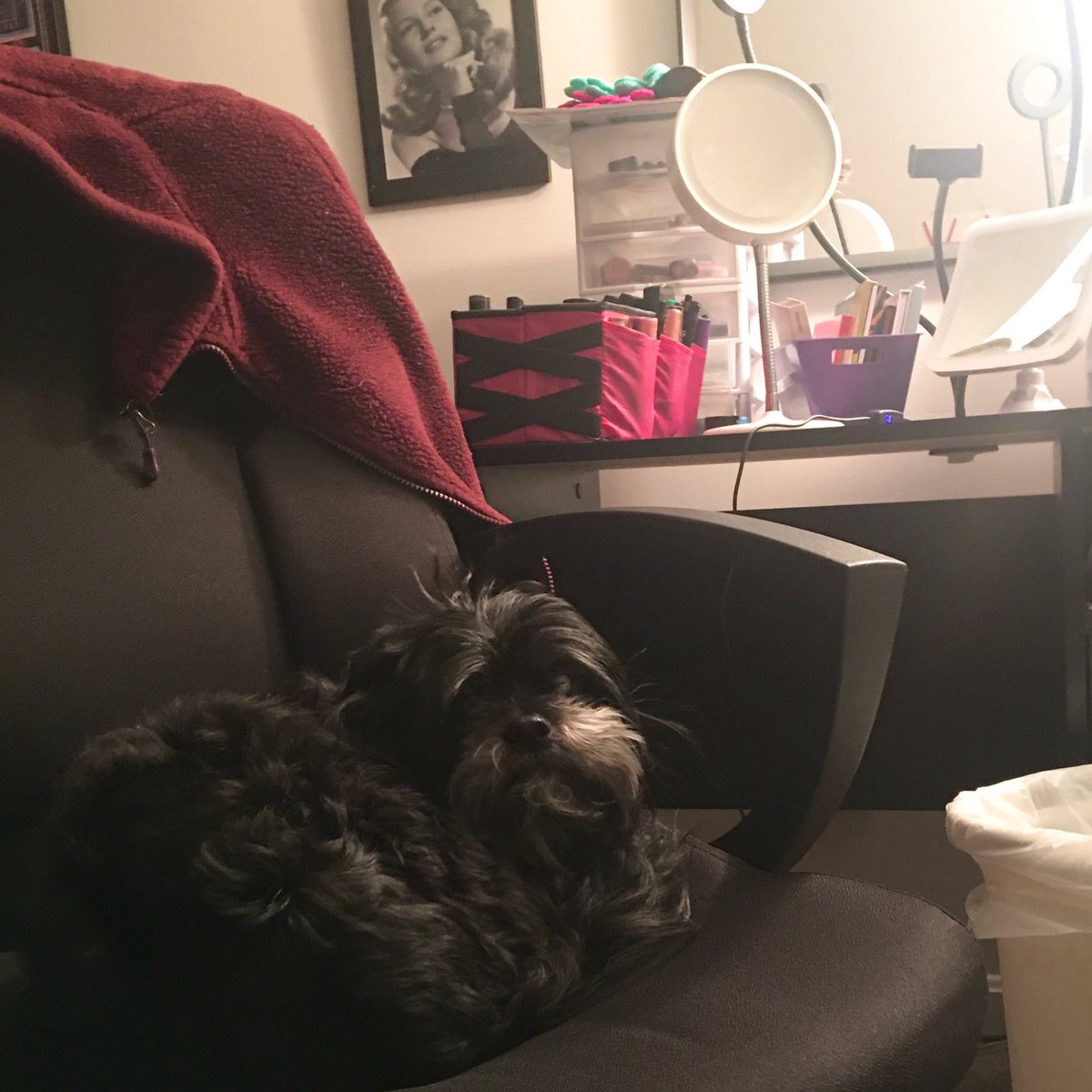 BibaGirrrl's tweet photo. Pippa decided it was her turn in my beauty seat! 🐶😂 #divadog #divaqueen #diva #lhasaapso #dogoftheday #dogslife #beauty #bibagirrrlbeauty https://t.co/kAVveGTjgl