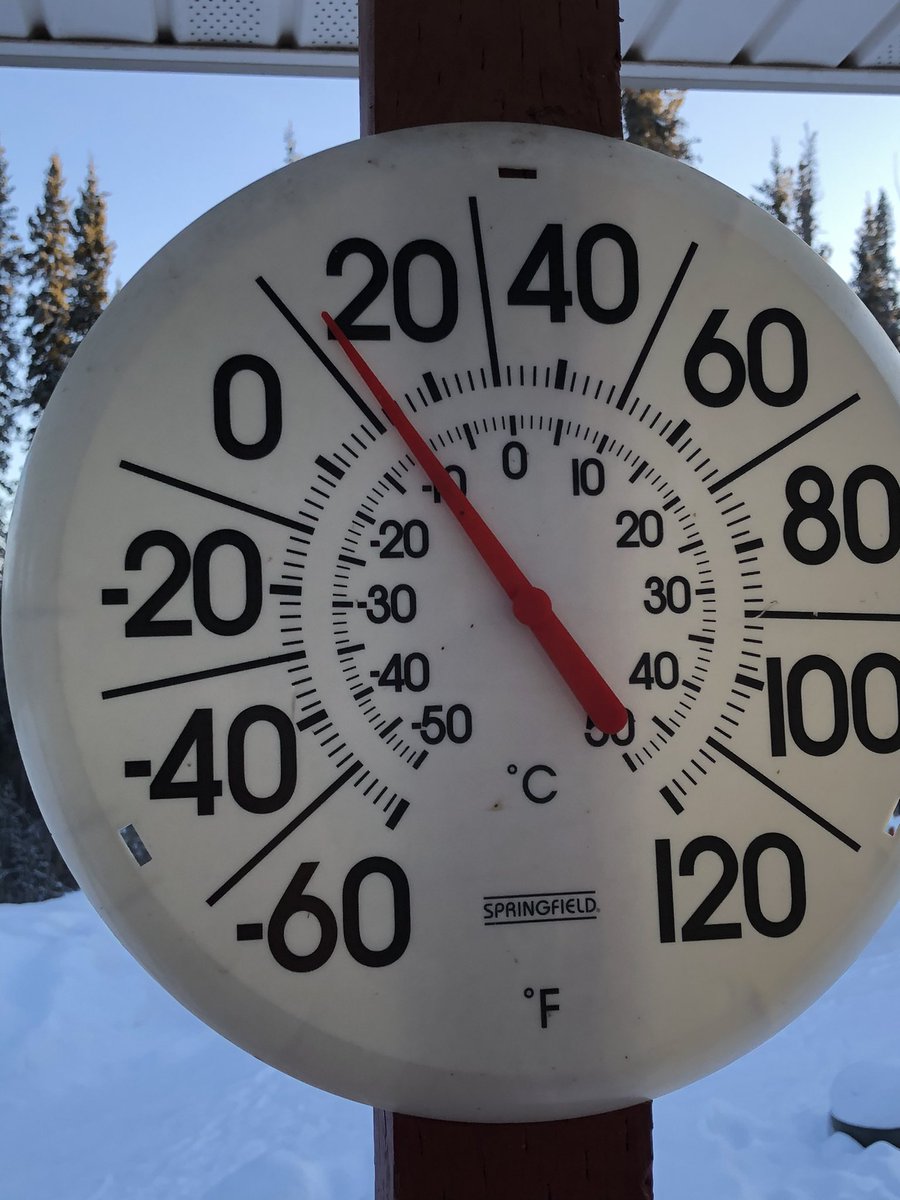 carlsnider's tweet photo. Beautiful day to grill out in Alaska!!

Caribou backstrap from the caribou I got in October.
#madeforalaska
#alaskaishome
#boldlygo
#shootforthemoon
#grillinginalaska https://t.co/yUSxDXev6P