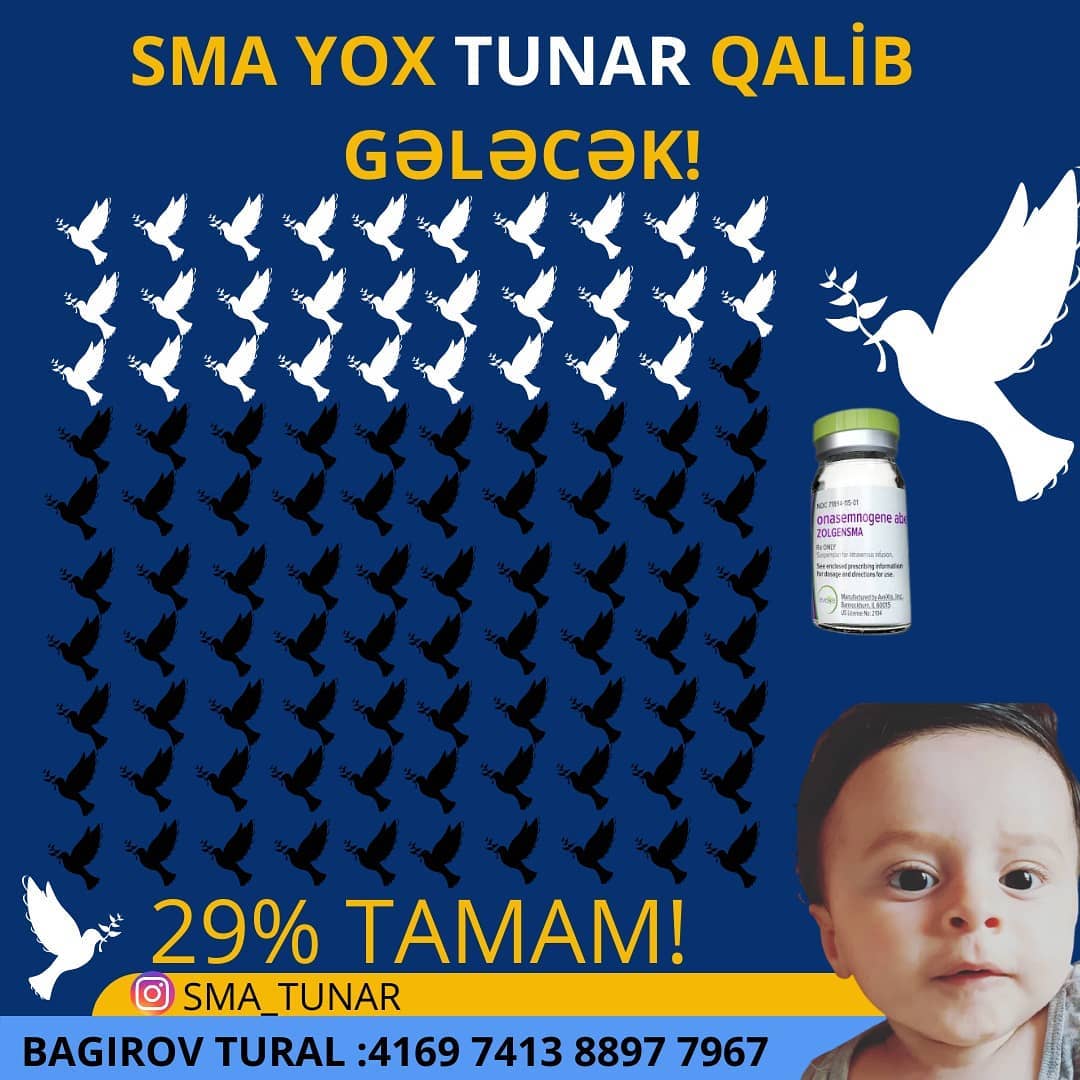 Sma_Tunar_dəstək (@smatunar1) on Twitter photo Və bu gün🙏🕊️ Pillə pillə sağlığa doğru qalxırıq Tunarla birlikdə🕊️ #TunaraNəfəsOl #Tunarucun #Tunaranefesol #Smatip1 #smahastaligi #smaxestesi #Tunaricin #sağlıkbakanlığı
<a href="/ayazikb/">Ayaz Babayev</a> <a href="/azadgenclik/">Azad Gənclik</a> <a href="/PresIlhamAliyev/">President Ilham Aliyev</a> <a href="/healthgovaz/">AR Sehiyye Nazirliyi</a> <a href="/AzerbaijanPA/">AzerbaijanPA</a> <a href="/H_A_Foundation/">H.A.Foundation</a> <a href="/qiniyiram/">Qınıyıram!</a> Və bu gün🙏🕊️ Pillə pillə sağlığa doğru qalxırıq Tunarla birlikdə🕊️ #TunaraNəfəsOl #Tunarucun #Tunaranefesol #Smatip1 #smahastaligi #smaxestesi #Tunaricin #sağlıkbakanlığı
<a href="/ayazikb/">Ayaz Babayev</a> <a href="/azadgenclik/">Azad Gənclik</a> <a href="/PresIlhamAliyev/">President Ilham Aliyev</a> <a href="/healthgovaz/">AR Sehiyye Nazirliyi</a> <a href="/AzerbaijanPA/">AzerbaijanPA</a> <a href="/H_A_Foundation/">H.A.Foundation</a> <a href="/qiniyiram/">Qınıyıram!</a>