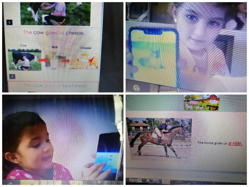 SamahShbeib's tweet photo. KG1"B" learners discuss🗣️ their favorite animals' benefits such as entertainment🏇🏽, food🥩🥛, clothes🧥,etc...with their friends and teacher. @Hhhsinfo @tbaassiri @DaraziFarah @TawilNoor @halalutfi @AsmaaKHAYAT https://t.co/CaErE3ONQK