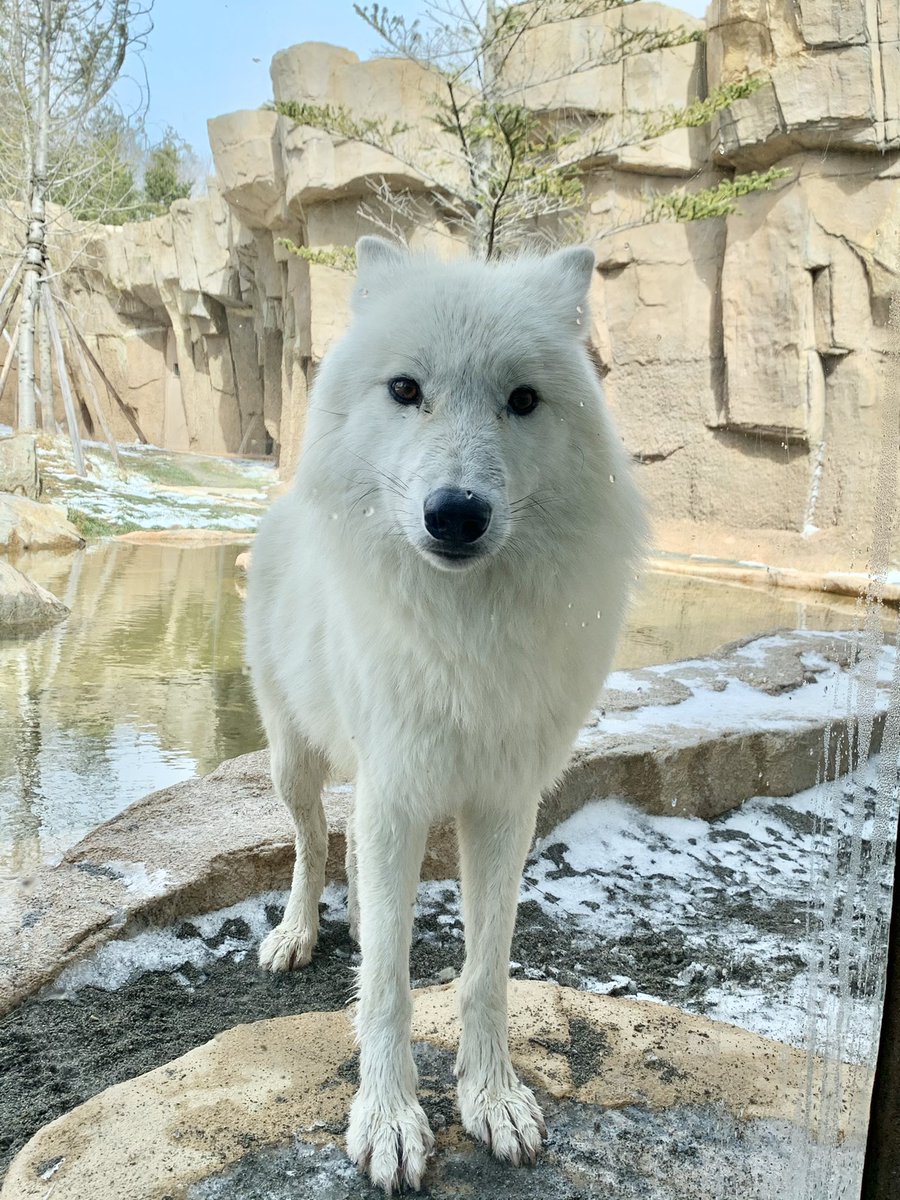 E5 B0 8f 81 95 81 E8 80 Twitter Search