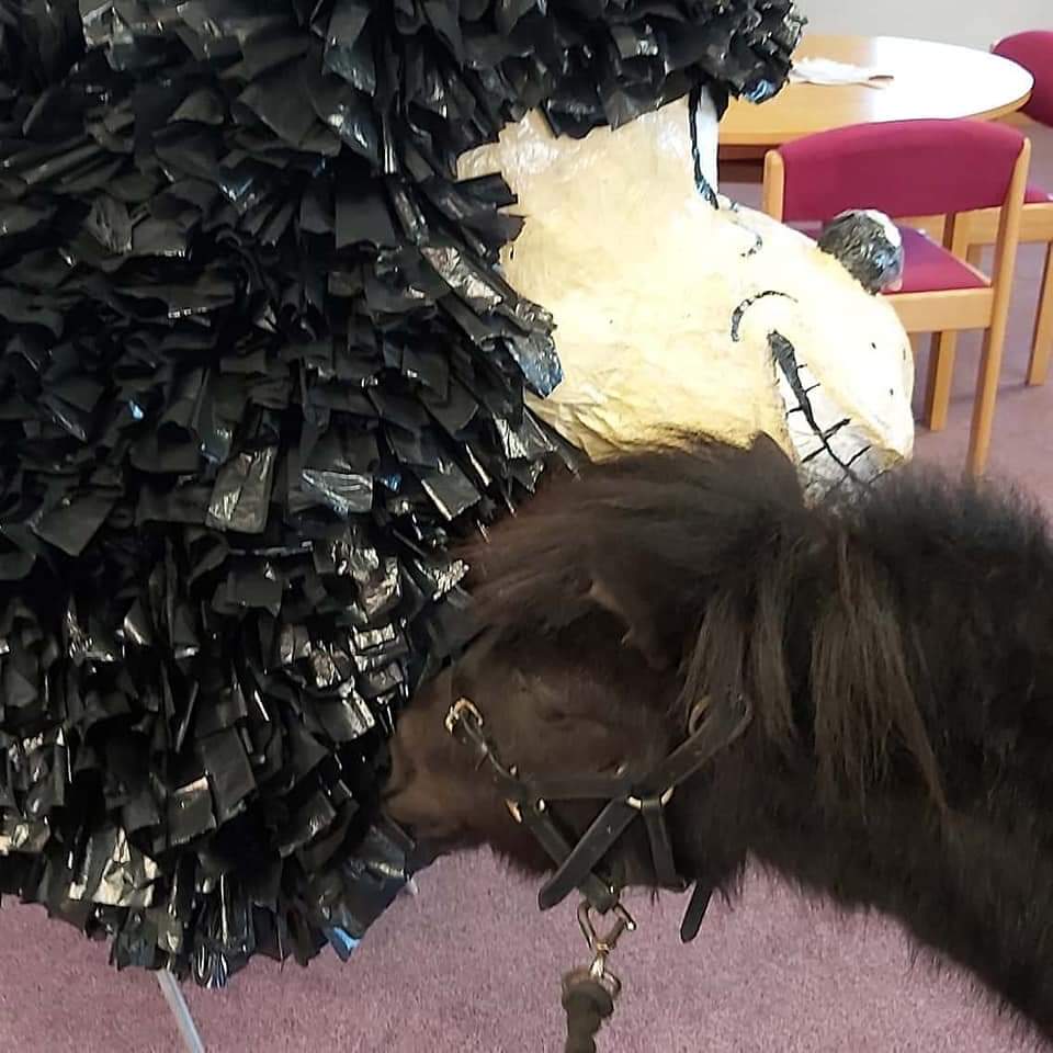 Throw back to last years #WorldBookDay when Sven and Mo visited <a href="/StokesleyLib/">The Globe Library</a> 
Cannot wait til we can get back to see everyone again 🤗 🐴📖