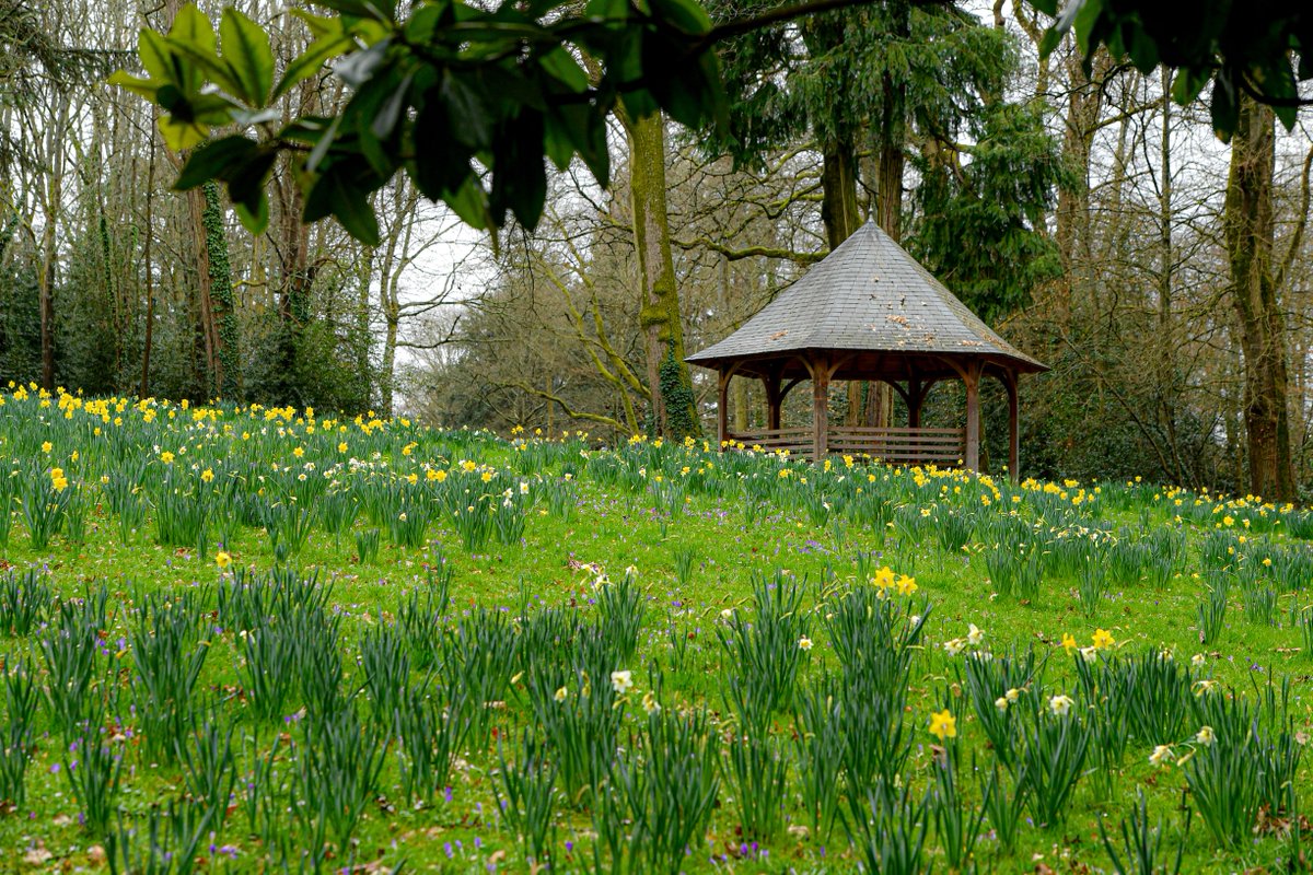 nantesfr's tweet photo. #JeudiPhoto 🌷🌼 Crocus et narcisses sont en floraison au Parc de La Gaudinière jusqu'au début du mois d'avril : profitez-en ! 😍 
Le parc compte plus de 200 000 bulbes de fleurs différentes : de quoi en prendre plein les yeux, au fil des saisons ☀️ https://t.co/99J6VmEt8k
