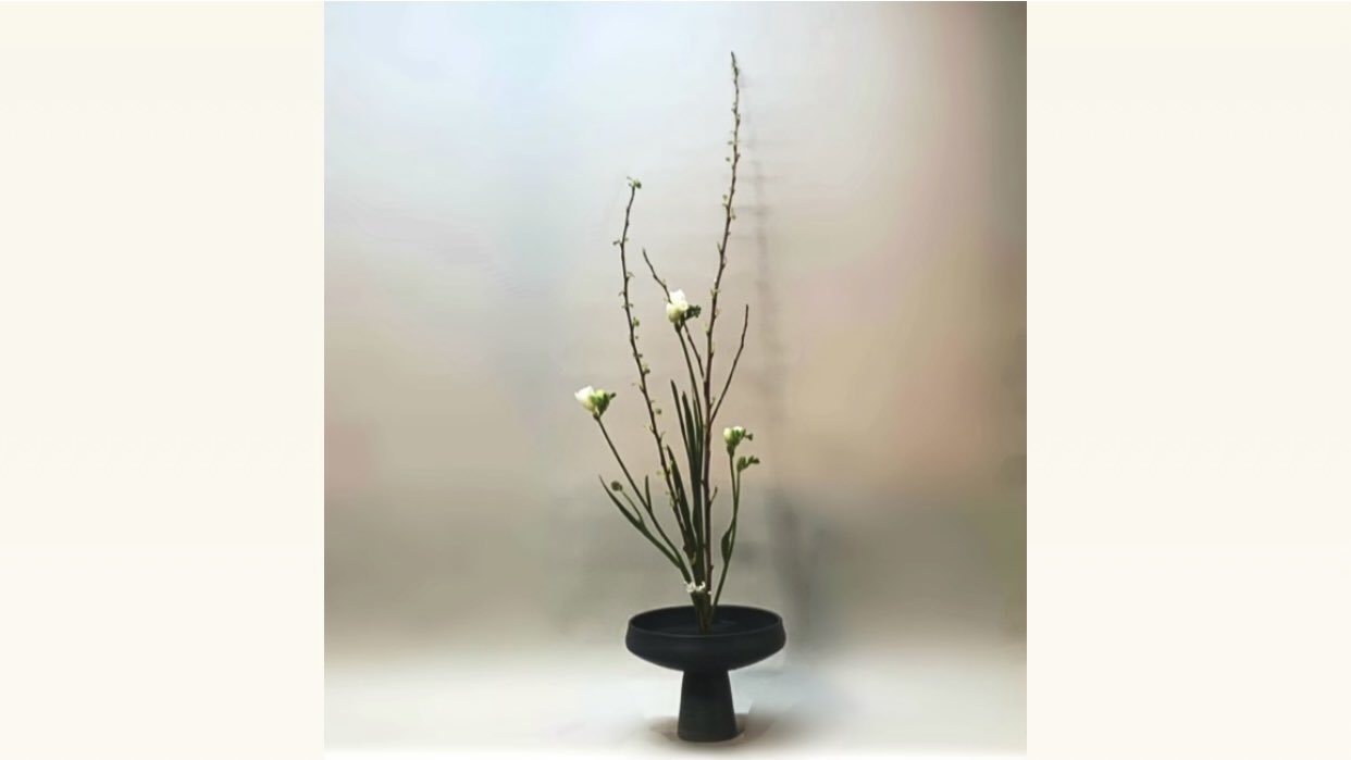 キンパコデマリ Twitter Search Twitter