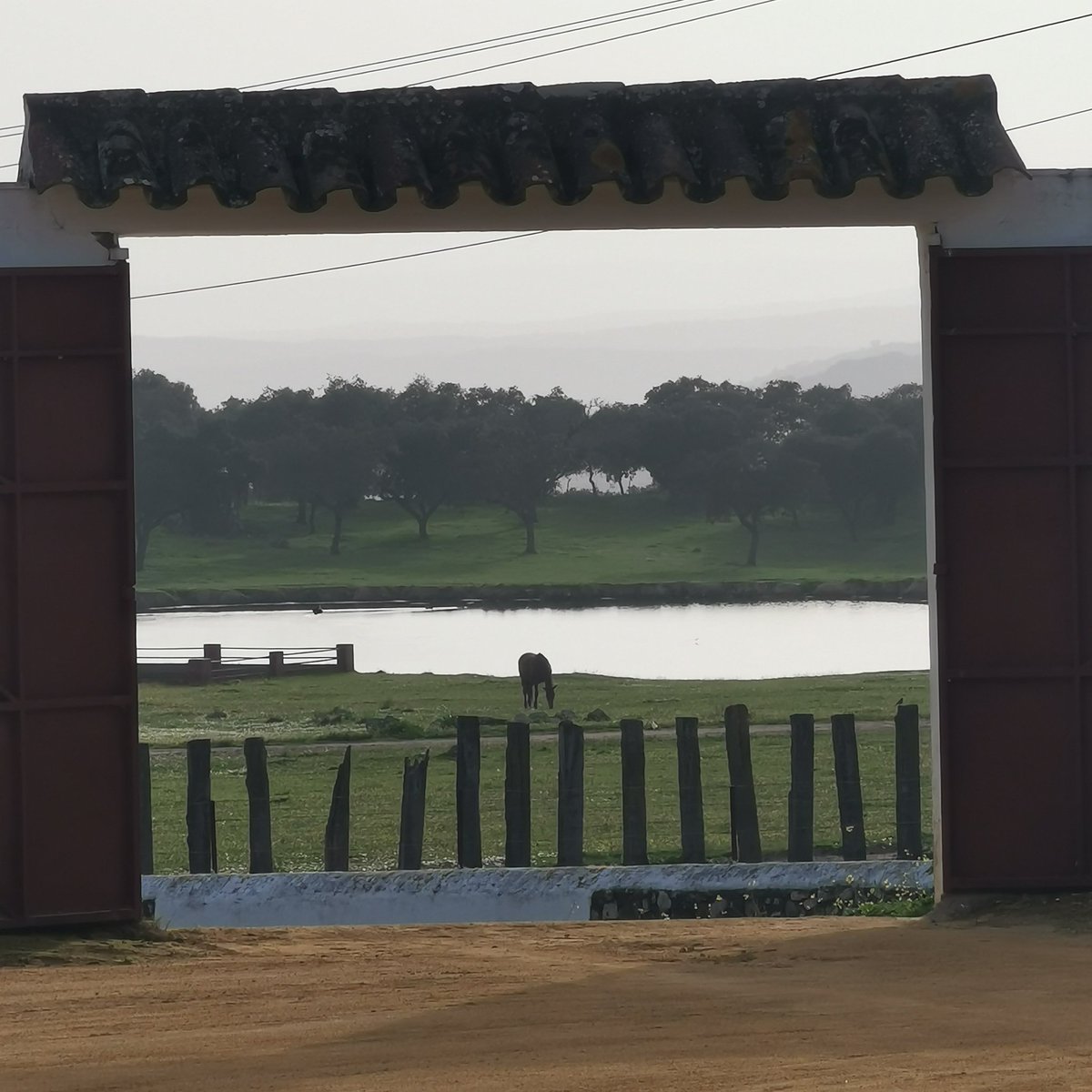 Sobre las 11.30am, tentadero con <a href="/JesuliTorrecera/">Prensa Jesuli De Torrecera</a>,