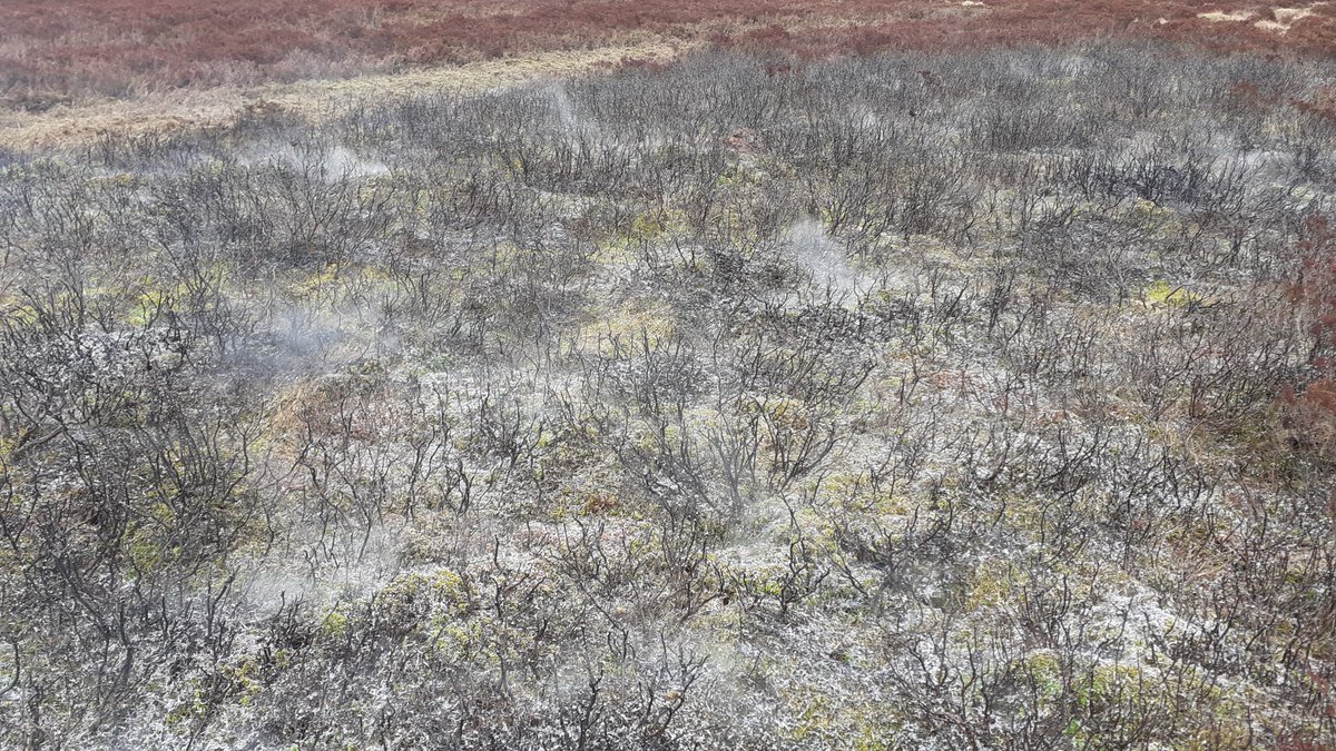 The peat surface when moist or frozen is laregly protected and a layer of ash and charcoal is added to the surface. Lots of smoke, yes, but this does not necessarily mean all carbon is gone up in smoke...