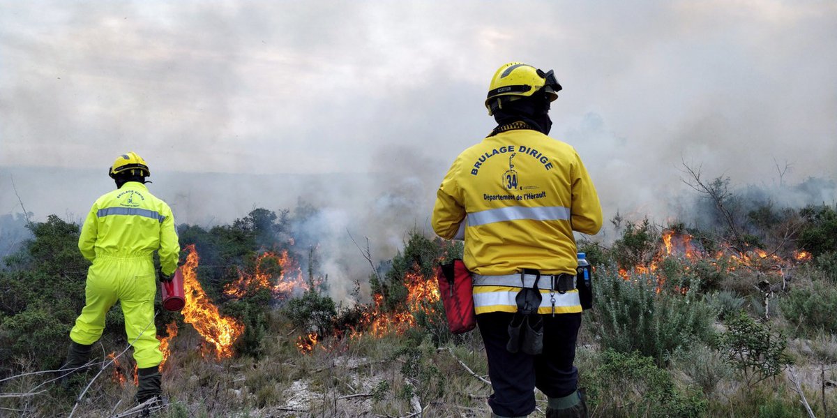 SELECTNEUF tweet media