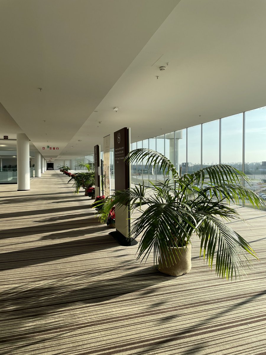 sitacanua's tweet photo. “All crew must stay within hotel premises” https://t.co/gEHKJR1E8a