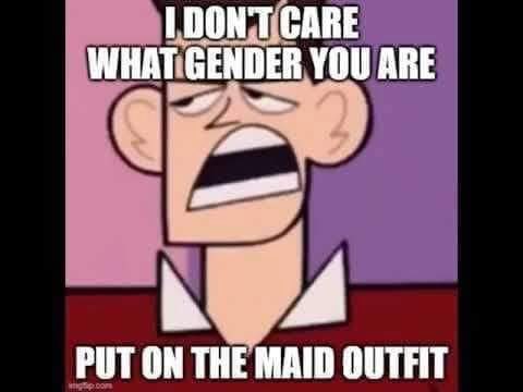 You put this on your. What is your Gender meme. Doesn't Care ь cartoon. Clone High meme. I don't Care what Gender they are.
