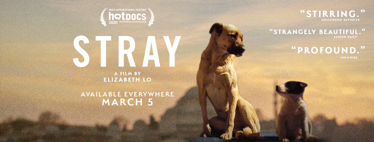 AvonTheatre's tweet photo. @straydoc (NR) 🎟️ https://t.co/8CjOjX8WS7
Fri. Mar. 5 at 7pm
Sat. Mar. 6 at 3:45pm 7pm
Sun. 3/7 - 3/11 at 7pm

#ElizabethLo @magnoliapics 
@hotdocs #indiefilm 
#documentary #dogsoftwitter
#straydocfilm #AvonTheatre https://t.co/JJWIXiA3PA