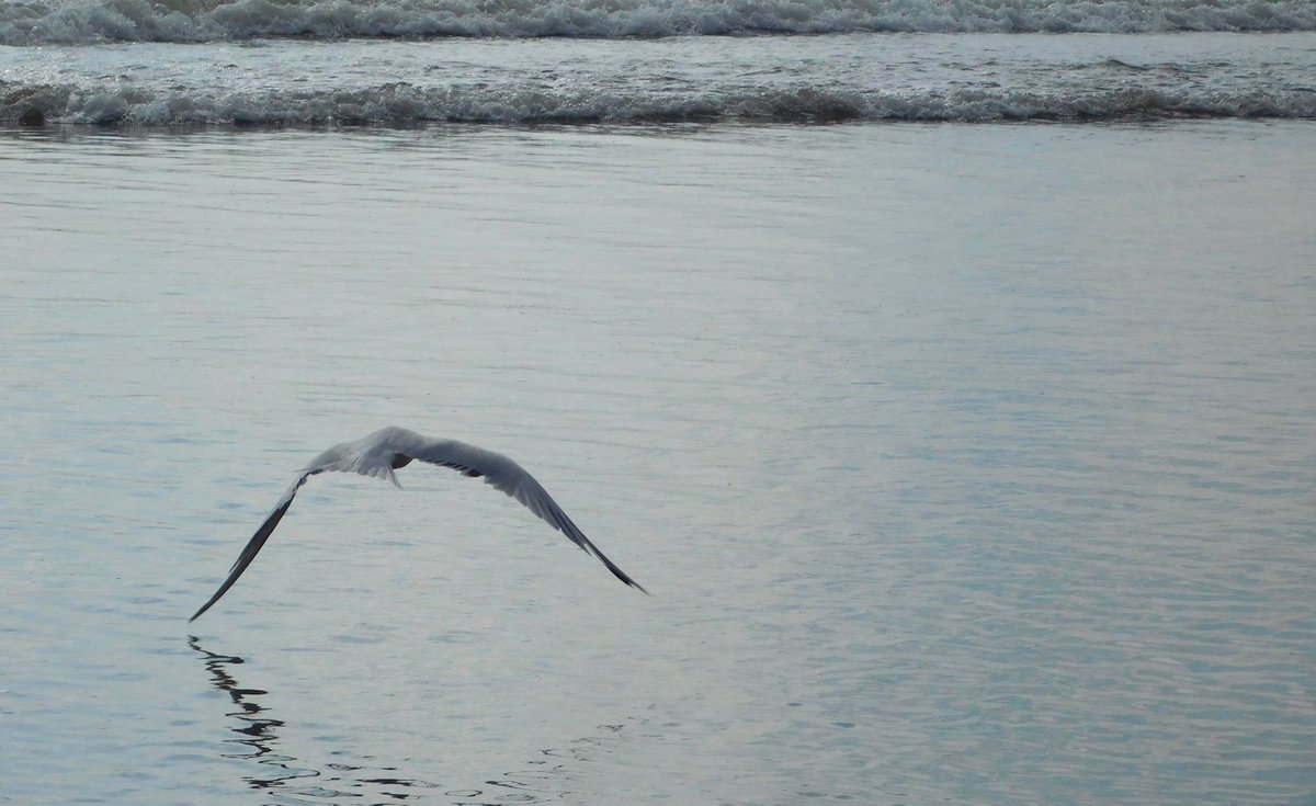 portstreet tweet media