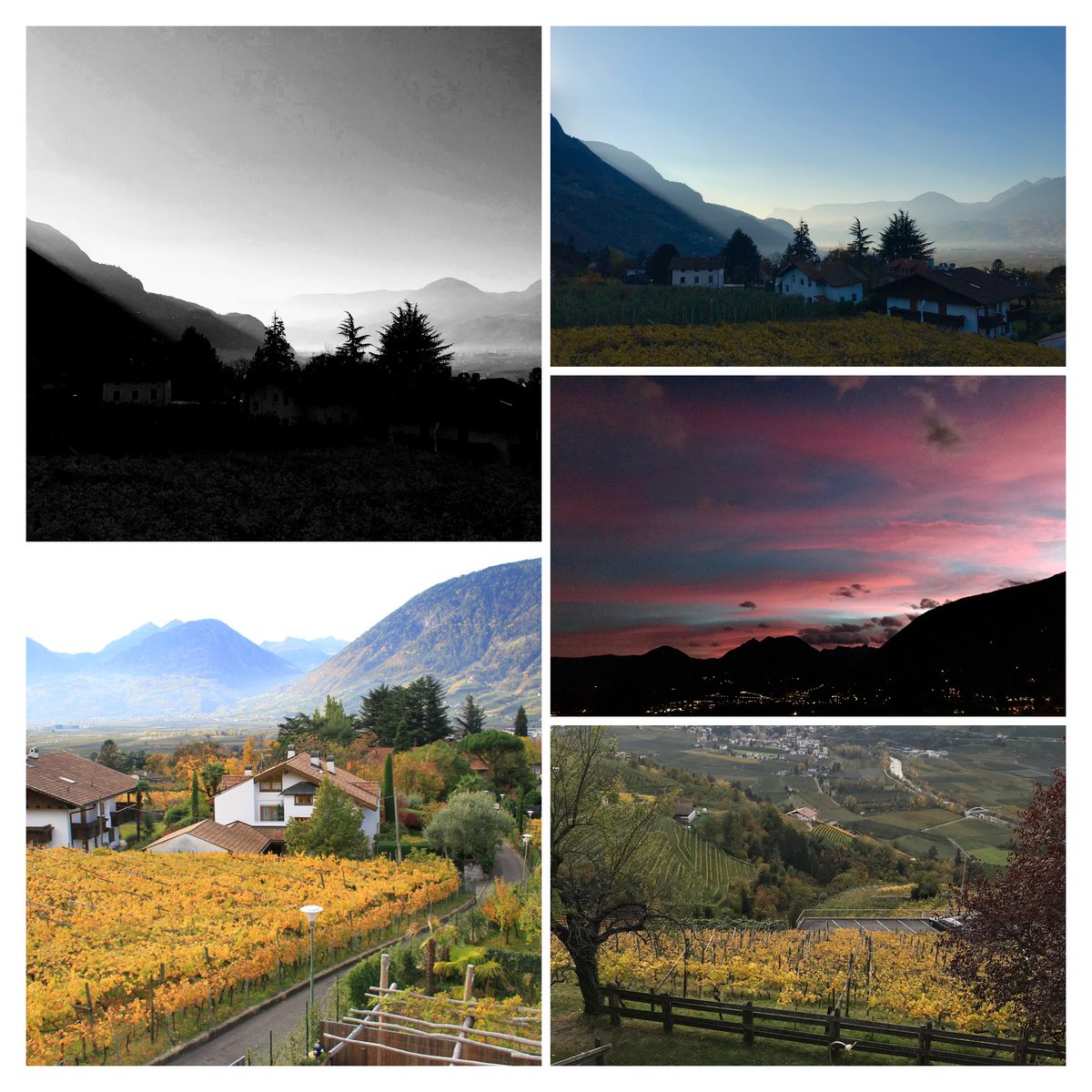 TimeTraveler911's tweet photo. 30 days, 30 favorites - #Day12 
Join my #virtualtraveltour and post your favorites - each day one for 30 days or just follow my virtual travel tour. Just name the location - no further explanation required. 

#HotelLadurner
#DreamNowTravelLater #ArmchairTravel #virtualTravelTour https://t.co/XA1Uj3EWdP
