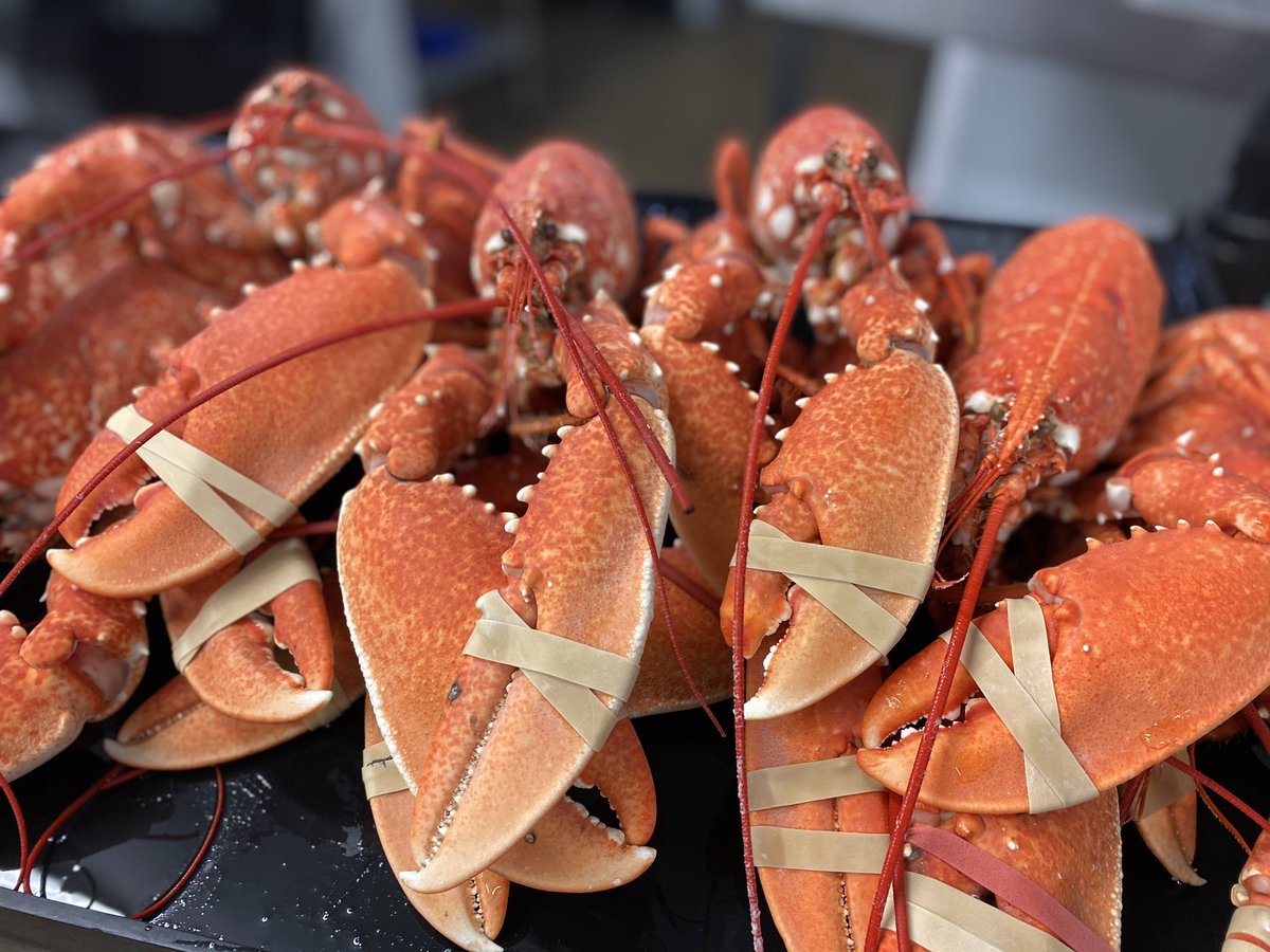 On our way to #canford village hall #sandbanks #poole #dorset 8.30-1 with some lovely day boat #fish and #shellfish also lots of fish pies, soups, pates, dressed crabs, crab meat #supportlocal #SmallBusiness #FamilyBusiness