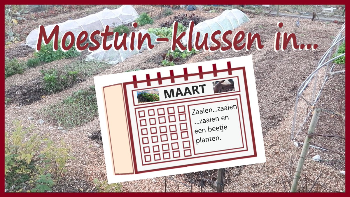 Maart, de maand waarin er steeds meer gezaaid kan worden, ik maakte er weer een nieuwe video over: youtube.com/watch?v=EIXua7…
Ik hoop dat bij jou de voor-zaai-pret ook al is begonnen ;)
#moestuin #maart #zaaien #biologisch #volkstuin #moestuinieren