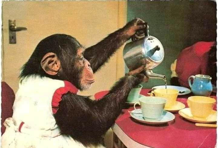 Fanele90's tweet photo. @DjTsauzin https://t.co/6SIustiNv0