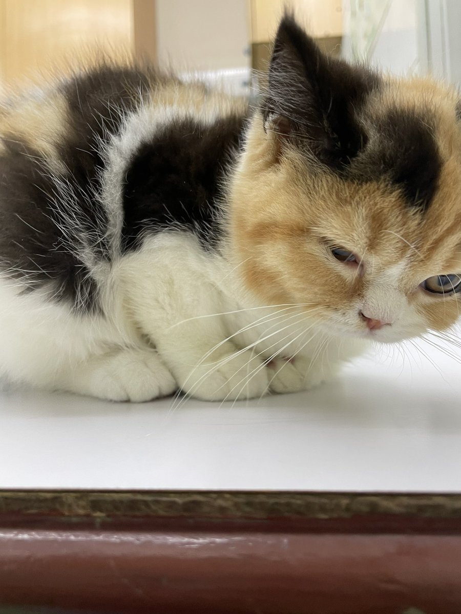 หน้าแค้น โกรธแม่แม่แต่กลั้นใจไว้เดี๋ยวดูเป็นเด็กดื้อ