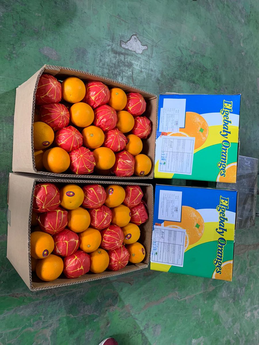 ConcorFhel's tweet photo. Received first container of Egypt Orange 🍊 in Domestic warehouse, Agri Logistics Centre, Rai, Sonepat.
@concor_india @ConcorNwr @ConcorNcr @VKRamaCMD @ConcorArea3 @ConcorW @shankarmaz46 @ConcorArea4 @APEDADOC @nafedindia @AgriGoI @ApmcAzadpurMndi @ssa_mandi https://t.co/S8WngPyqHu