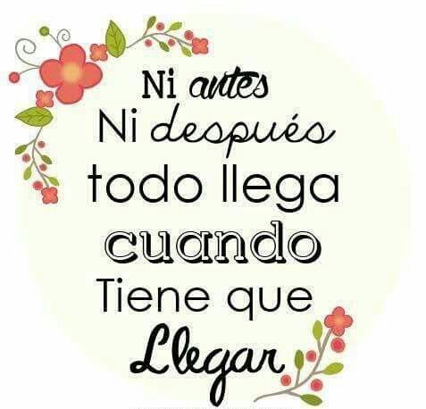 Julio César Vale (@juliovalemcd) on Twitter photo 