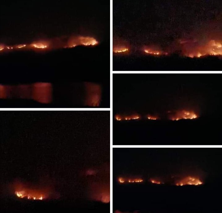 supriyatriik's tweet photo. Ajodhya Hills of Purulia, West Bengal is burning. Please help. 
#SaveAjodhyaHills
@guardianeco @GretaThunberg @dpradhanbjp @MamataOfficial @PrakashJavdekar @SuPriyoBabul @LicypriyaK @BittuSahgal @SanctuaryAsia @moefcc @greenplateauorg @UNESCO @PMOIndia @PuruliaPolice https://t.co/Zd0yTDaucv