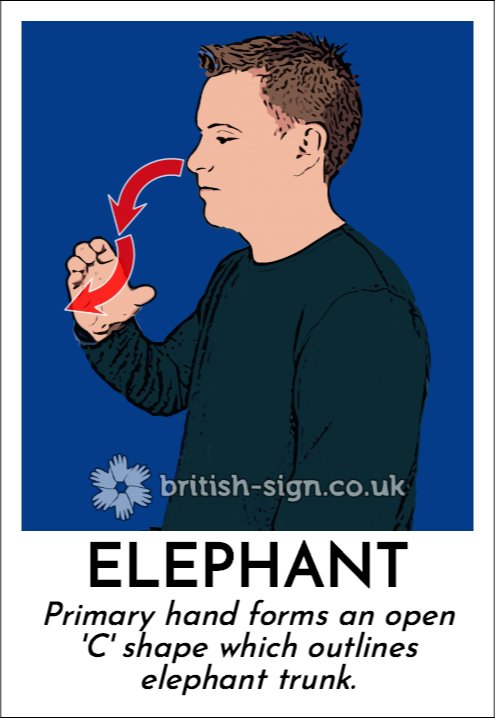 Today's #BritishSignLanguage sign is: ELEPHANT - #BSL - learn sign language online at british-sign.co.uk