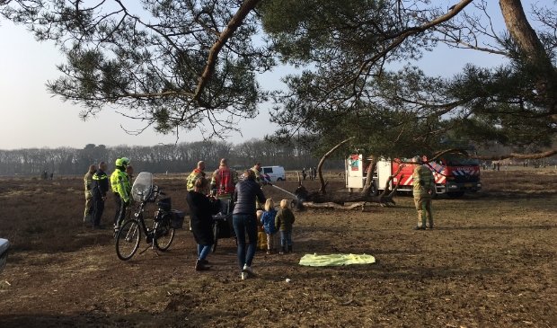 Vrouw alarmeert 112; brandweer blust smeulende boom - ..