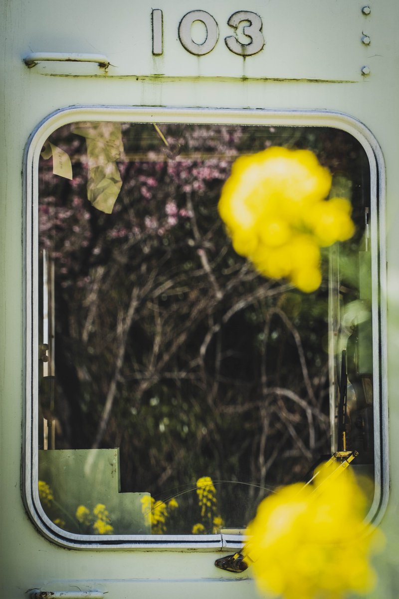 春色の汽車に乗って