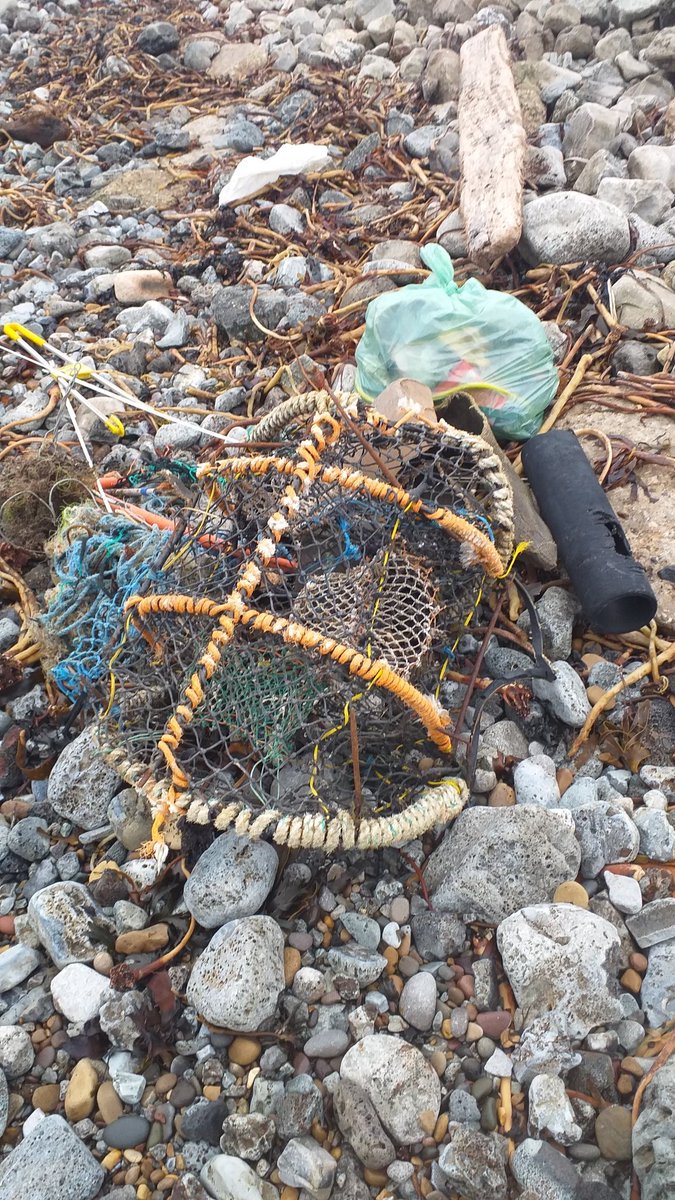 uyDIsrU's tweet photo. Discarded PPE and ghostnets are killing marine wildlife. It is of the upmost importance we change our ways to our oceans and wildlife.  Disposing of marine litter safely is paramount. #MarineConservationSociety #SeaChampionsNorthEast #BDMLR https://t.co/hpJR9g1rtx