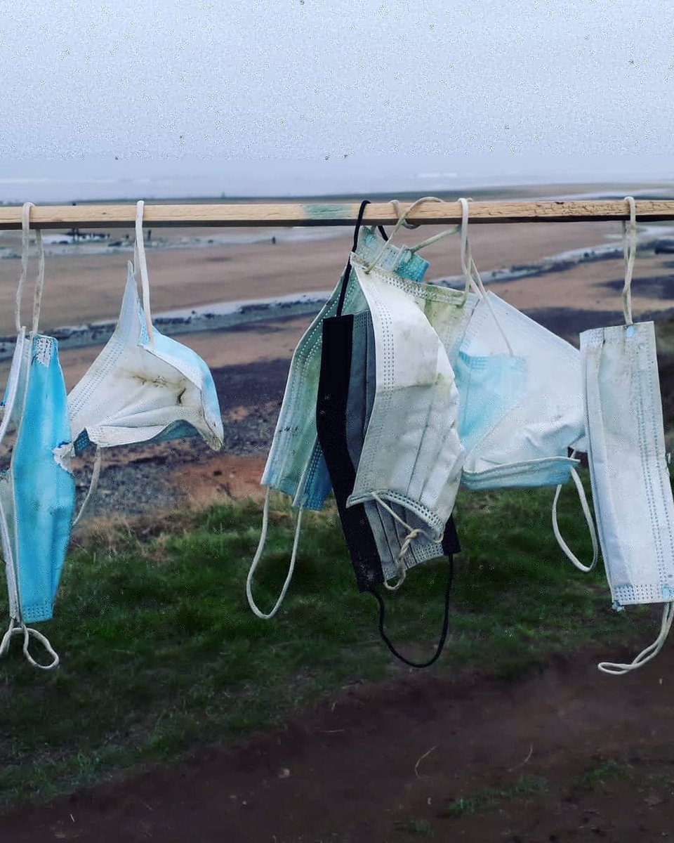 uyDIsrU's tweet photo. Discarded PPE and ghostnets are killing marine wildlife. It is of the upmost importance we change our ways to our oceans and wildlife.  Disposing of marine litter safely is paramount. #MarineConservationSociety #SeaChampionsNorthEast #BDMLR https://t.co/hpJR9g1rtx