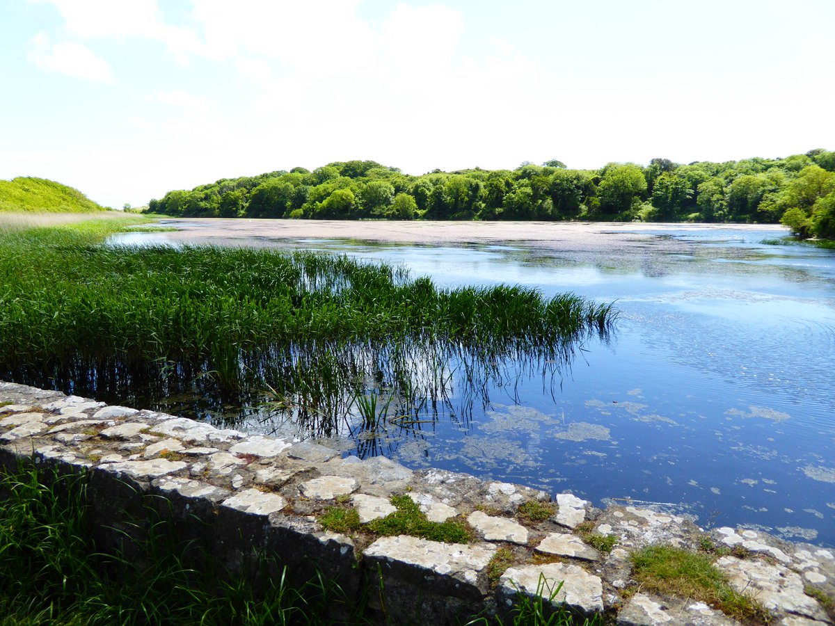 Girlygolfer2013's tweet photo. #ThrowbackThursday just remebering my holiday in #Pembrokeshire and #barafundle beach.  Such lovely coastline and you then find yourself at the most amazing lily ponds @NTStackpole 
#bosherton #SeaSide https://t.co/NacNSFFtjG