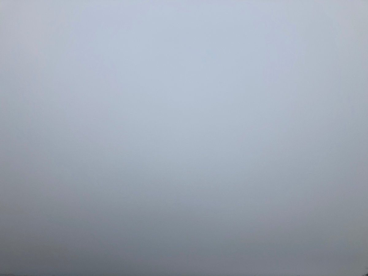 duncan_tree's tweet photo. "The blue of blue
Is mostly grey..."
#runningheals nonetheless. https://t.co/FklplrM47R