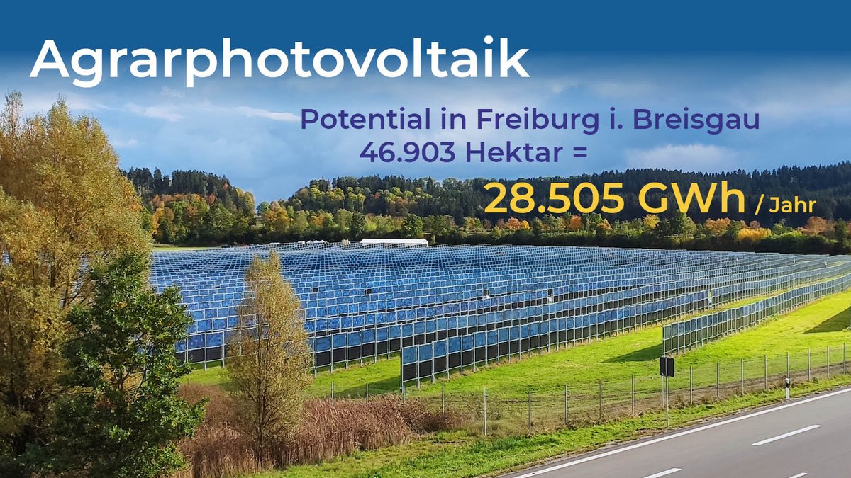 Freiflächen für Solaranlagen☀️
plus Freiflächen für Ackerbau👩‍🌾
= #Agrarphotovoltaik!

Mit aufgeständerten Modultischen und vertikalen Solarwänden - Verdunstungsschutz und Blühstreifen gratis dazu. Eine Win-Win-Win Situation mit riesigem Potential!

sfv.de/betraechtliche…