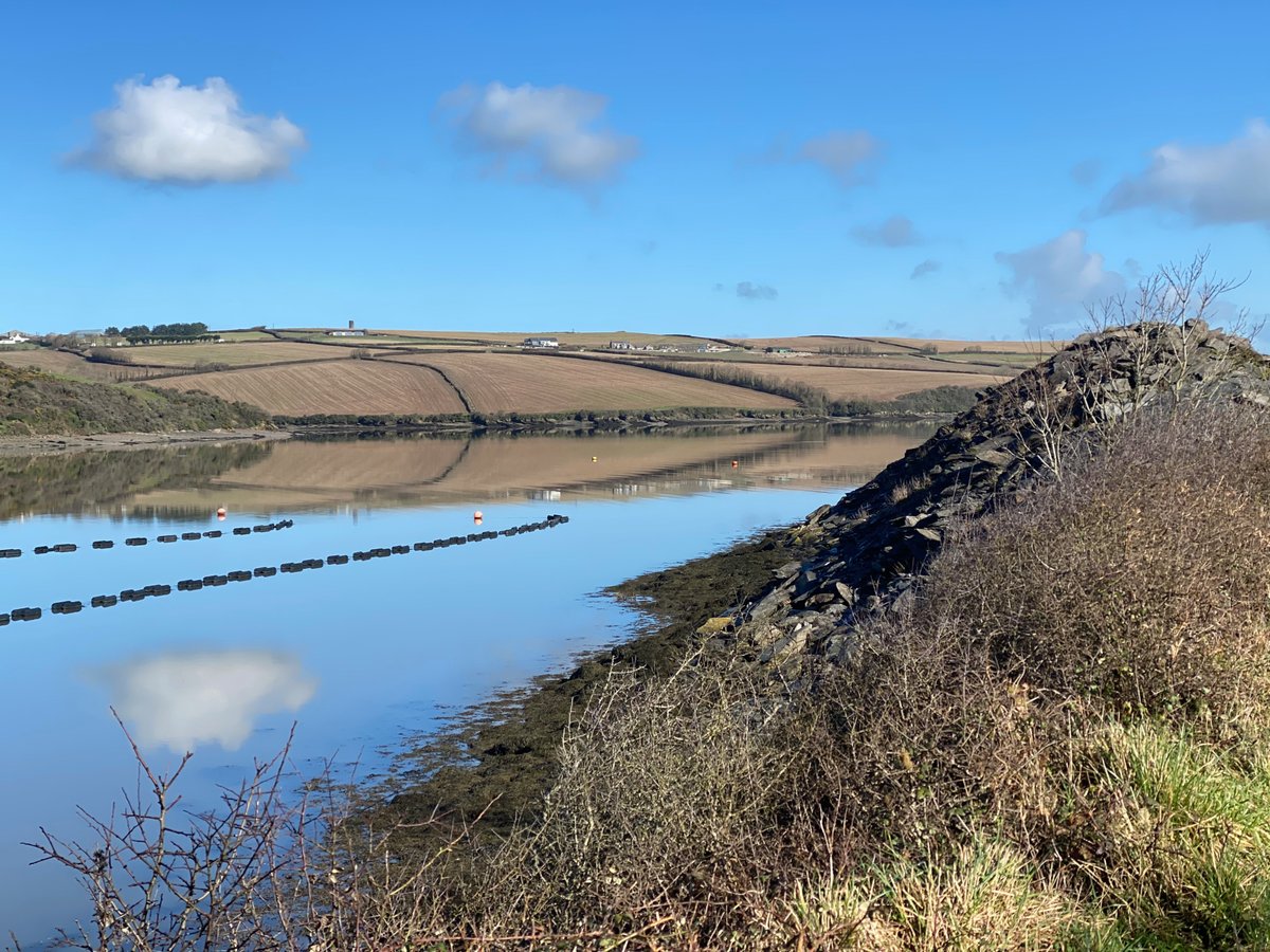 BridgeBikeHire's tweet photo. Beautiful reflection on the high tide
Call Tuesdays or Wednesdays to book bikes for your trip to Cornwall this year - 01208813050 Opening in April🤞
https://t.co/WEr7cUka6a
#cameltrail #wadebridge #padstow #cornwall #daysout #cyclehire #bikehire #openingapril https://t.co/Tebzc8sO0v