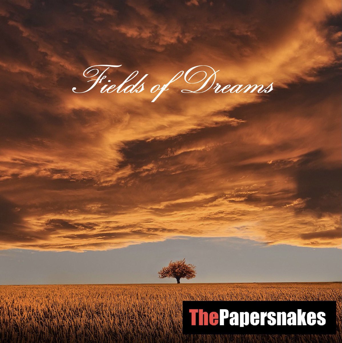 You guys selected the cover and the track is available tomorrow from all online streaming sites.