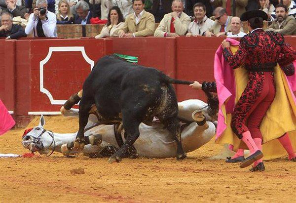 ALCE Perú🐸🐶🐱🐰🐯🐣🐮🐷🐳🐵🐢 tweet media