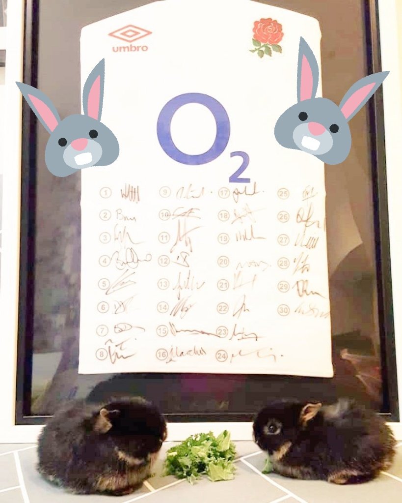 🐰 Last few days of the signed shirt auction - hop on over to Ebay &amp; get those last bids in! Donated by the lovely <a href="/TomCurry98/">Thomas Curry</a> 🏉

ebay.co.uk/itm/3039014587…

#rugby #sixnations #salesharks #englandrugby #Manchester #auction

#rspca #makeadifference #altrincham #cheshire #sale