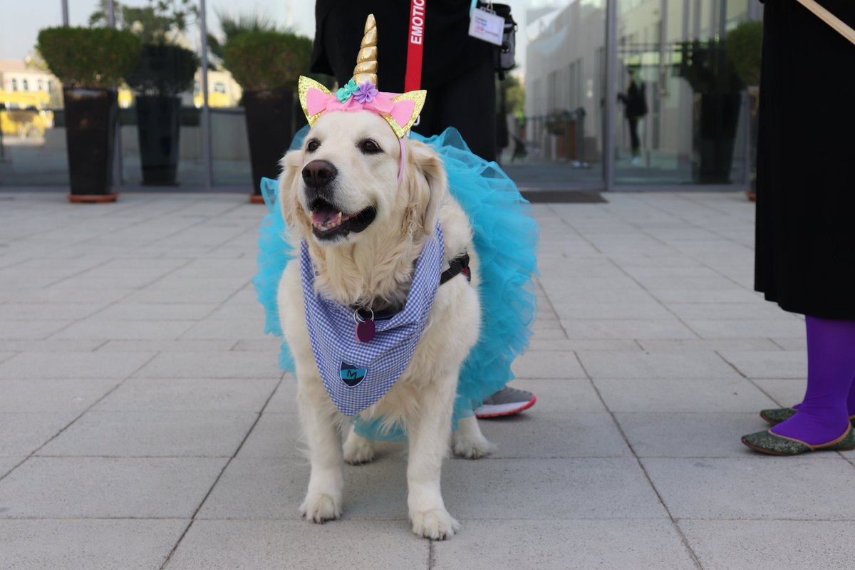 metropole_gems's tweet photo. Today, Lexi van der Walt, sister to Lotus has joined in our MTS and celebrated World book day as “Thelma the Unicorn”🦄
She is supporting our Year 11 students who have started their mock exams this week.
#emotionalsupport #worldbookday #MTScommunity @KHDADubai @GEMS_ME https://t.co/IwXWQvBOqD