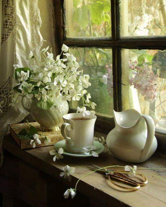 Good morning my friends 🥰💋