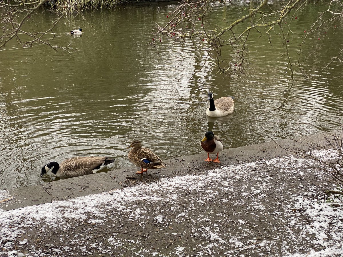 Helghast tweet media