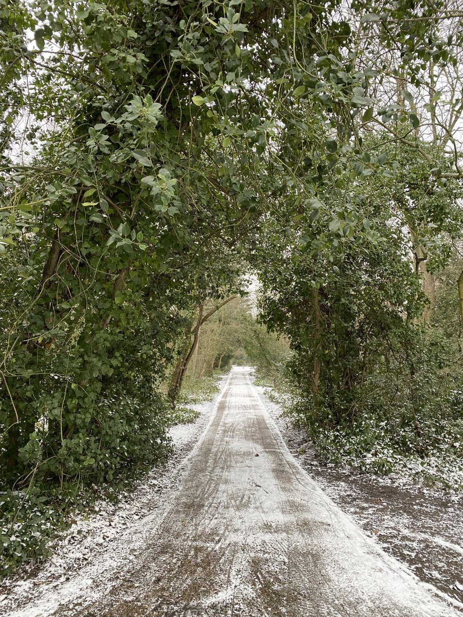 Helghast tweet media