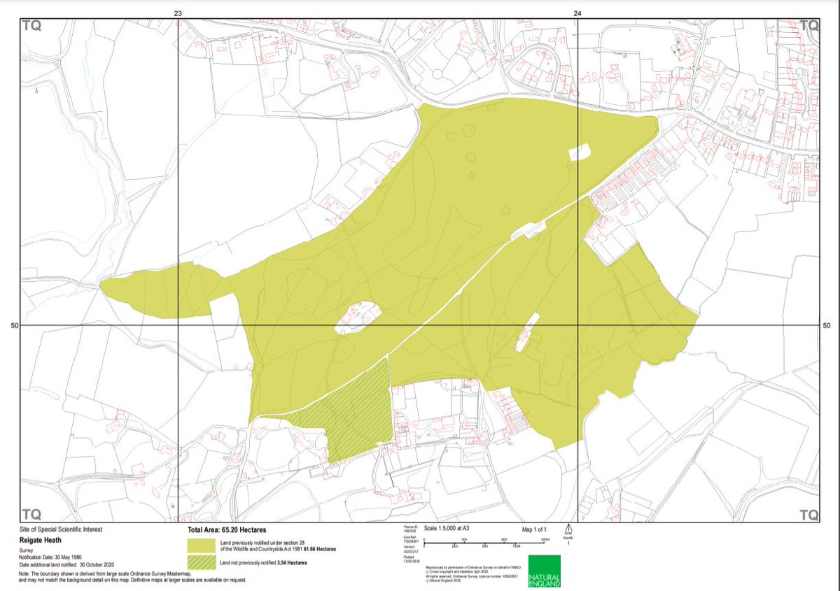 Great to hear that @NaturalEngland have confirmed the 3.54 ha extension to Reigate Heath SSSI to incorporate more unimproved acid grassland within its designation. This is a special priority habitat for which the heath is famous  @RBBCMayor @BramhallNatalie @Surrey_Botany