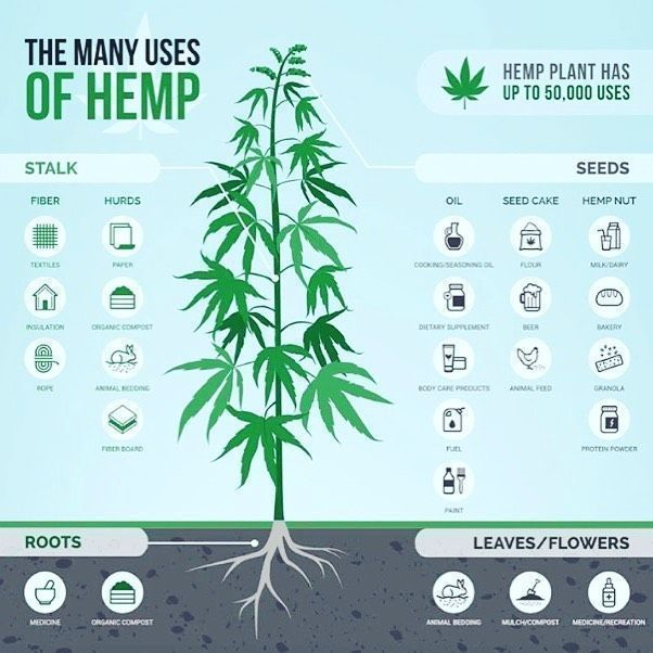 Do you know the many uses of hemp? 
#Mmemberville