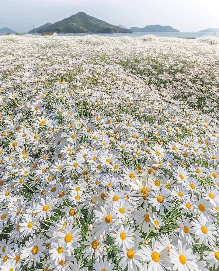 nikipitic (@nikipitik) on Twitter photo 