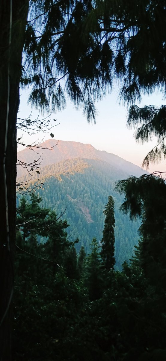 vickyprincevip's tweet photo. #Murreehills
MASHA ALLAH❤️ https://t.co/NH51nNCw24